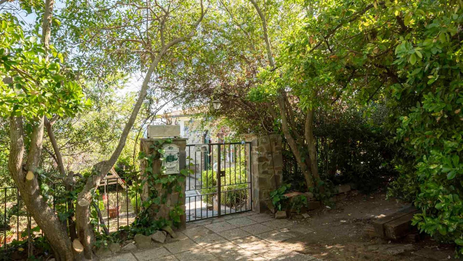 Villa Con Giardino Vista Mare Castiglione della Pescaia Buitenkant foto